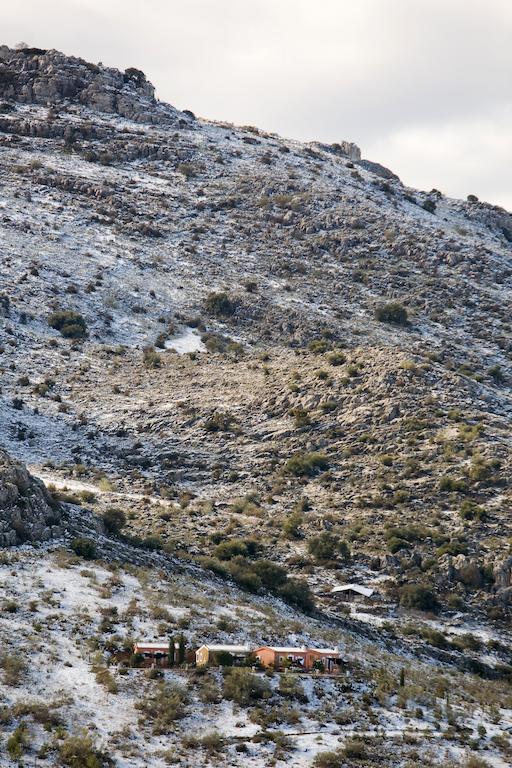 Cortijo Nuevo Alojamiento Rural Cuevas del Becerro Εξωτερικό φωτογραφία
